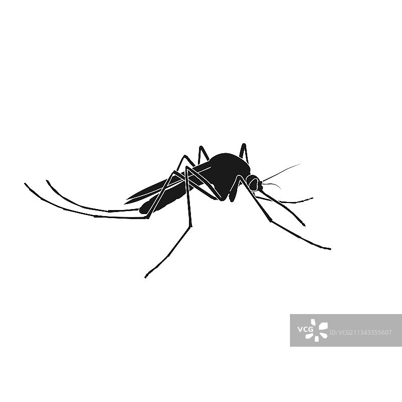 蚊子图标逼真疗法图片素材