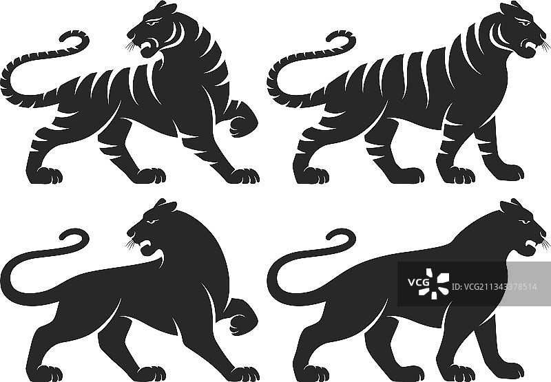 老虎图案合集图片素材