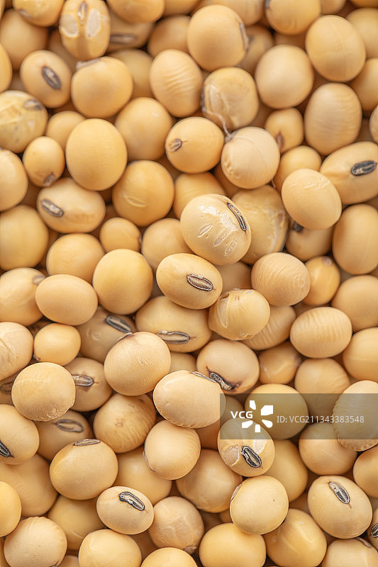 天然谷物黄豆图片素材