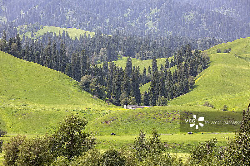 那拉提草原图片素材