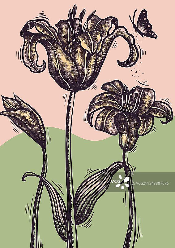 花朵物语之百合花图片素材