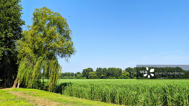北京汉石桥湿地自然保护区图片素材