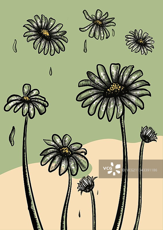 花朵物语之小雏菊图片素材