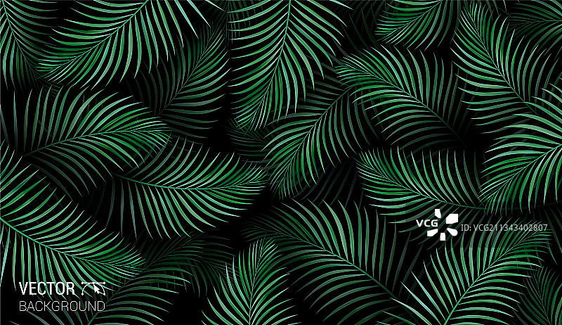 夏季绿色棕榈植物异域图案图片素材