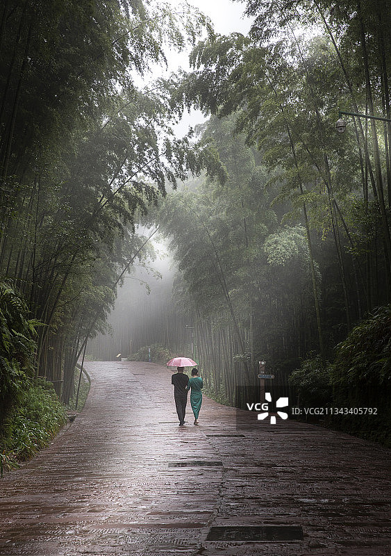 情侣雨中漫步林中小径图片素材