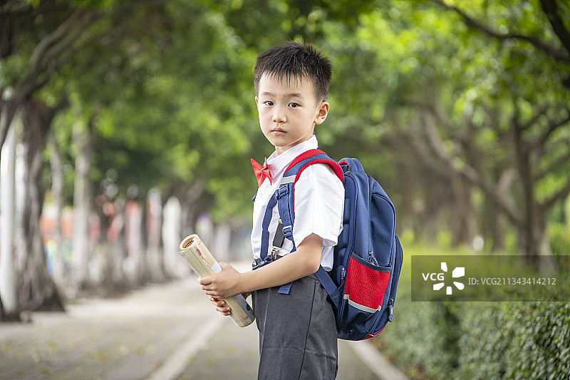 绿荫路上穿着校服背着书包的小学生图片素材