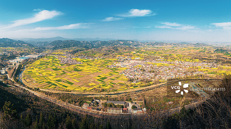 俯瞰油菜花盛开的田野图片素材