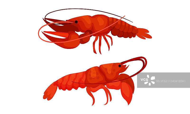 熟红龙虾图片素材