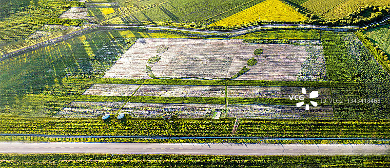 航拍夏季中国新疆唐布拉草原百里画廊油菜花图片素材