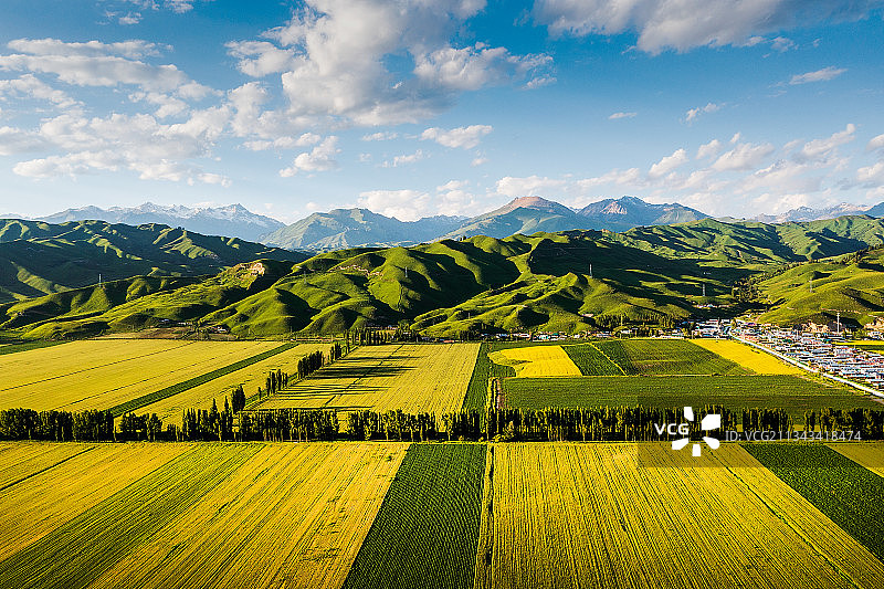 航拍夏季中国新疆唐布拉草原百里画廊油菜花图片素材