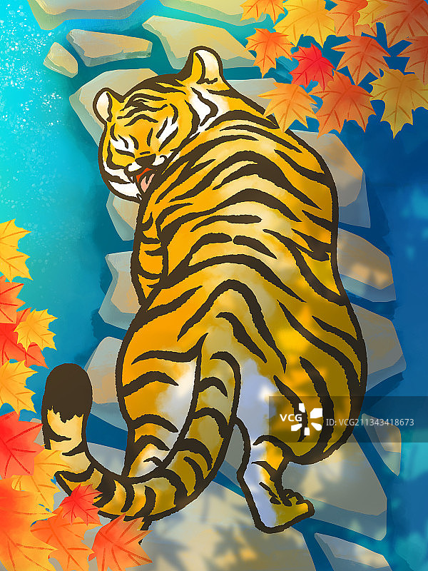 虎3图片素材