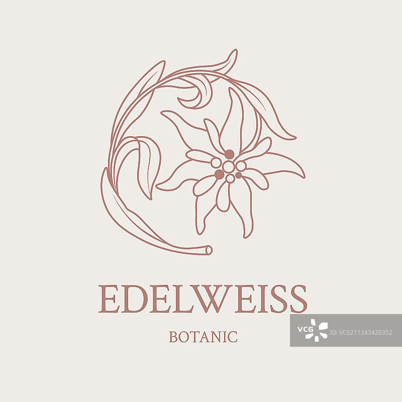 手绘花卉logo设计图片素材