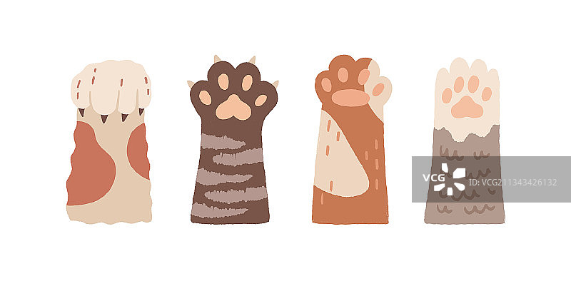 可爱的猫爪，带爪子和柔软的肉垫套装图片素材