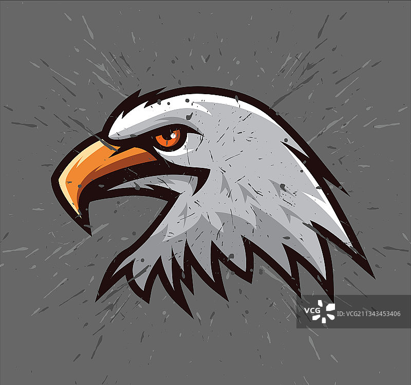 老鹰头部图像图片素材