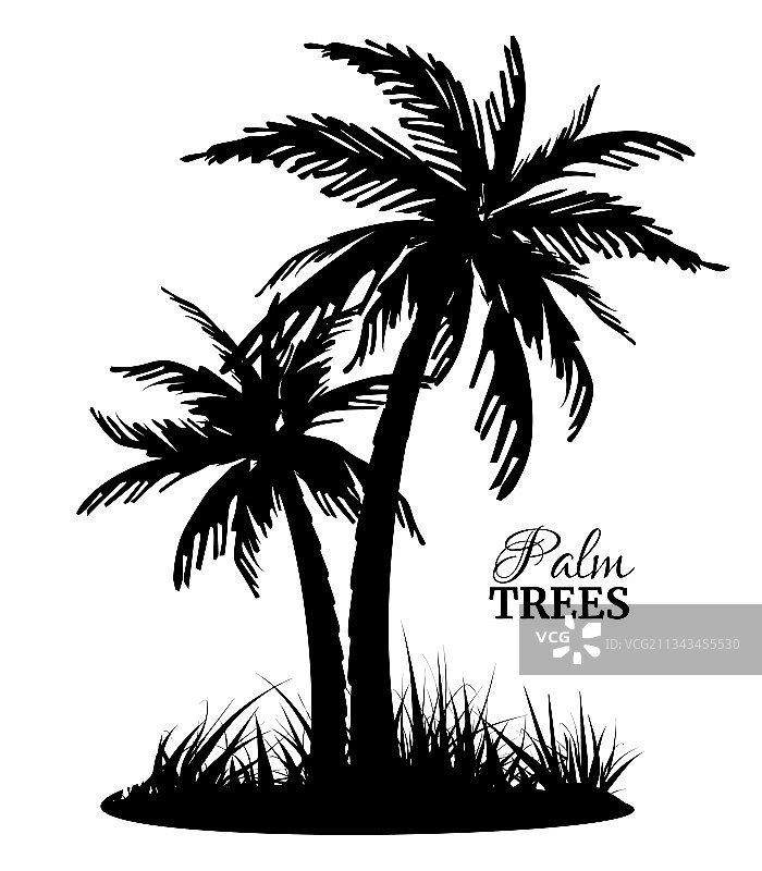 两个黑色剪影棕榈树异国情调岛屿图片素材