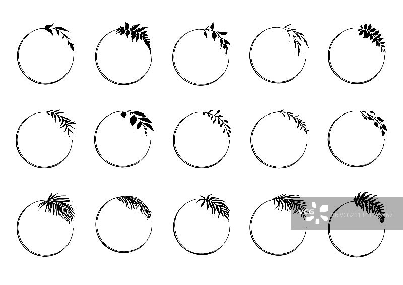 花卉圆形边框黑色框架图片素材
