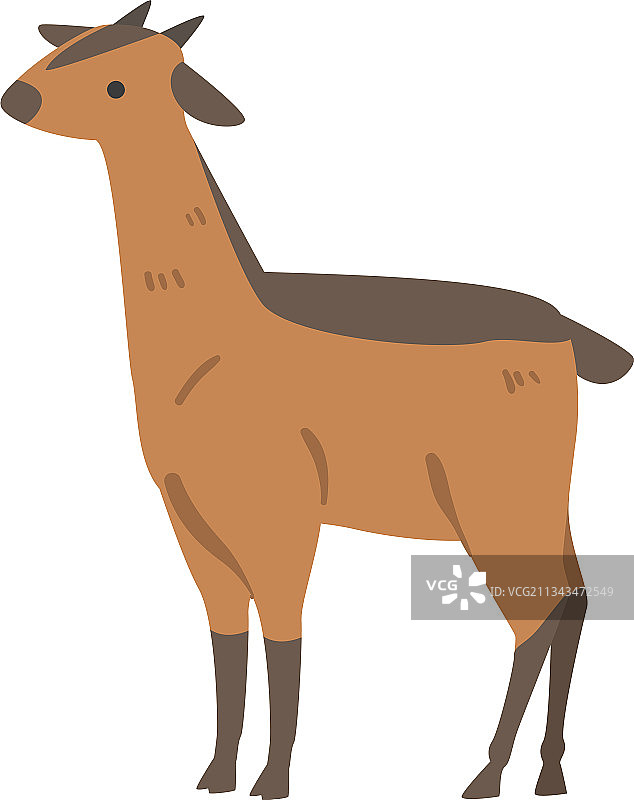 可爱的非洲冕羚动物食草动物图片素材