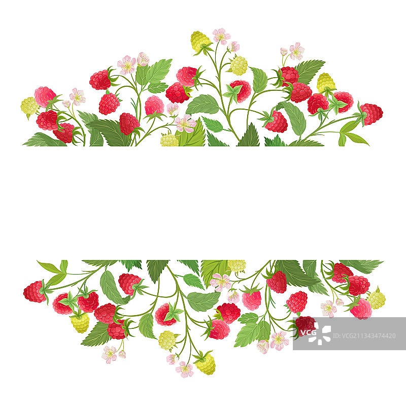 水彩覆盆子花环图片素材