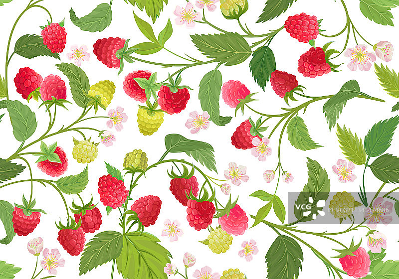 水彩覆盆子夏季无缝图案图片素材