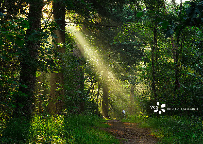 希望之光图片素材