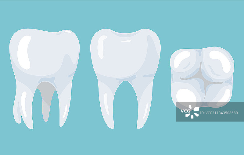 不同角度的牙齿图片素材