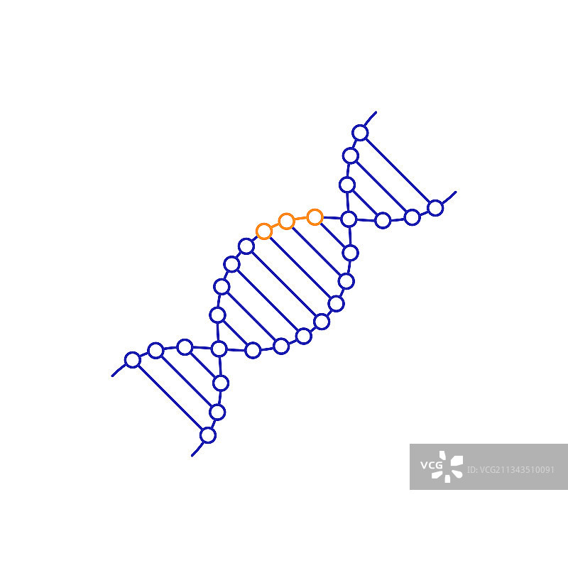 线性基因组图标图片素材
