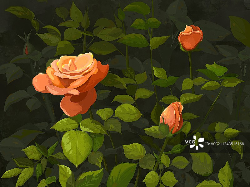 果汁阳台图片素材