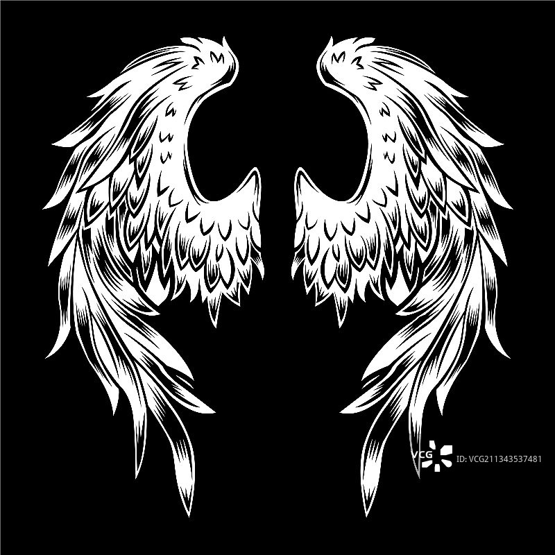 翅膀徽标品牌设计图片素材