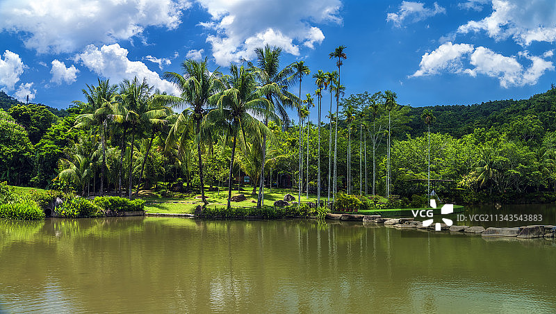 海南三亚呀诺哒热带雨林风光图片素材
