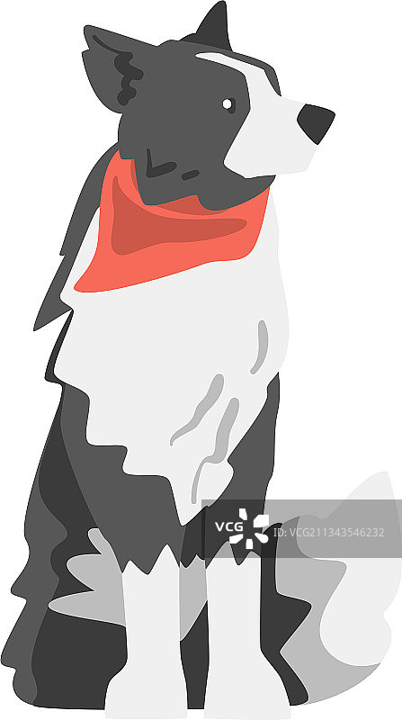 红色边境牧羊犬宠物狗侧视图图片素材