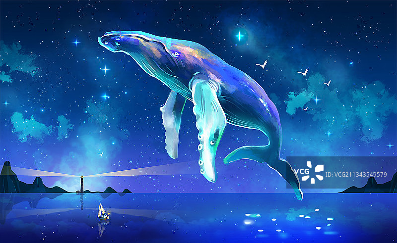 鲸鱼 海洋图片素材