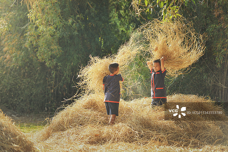 快乐男孩在田野里玩耍扔干草图片素材