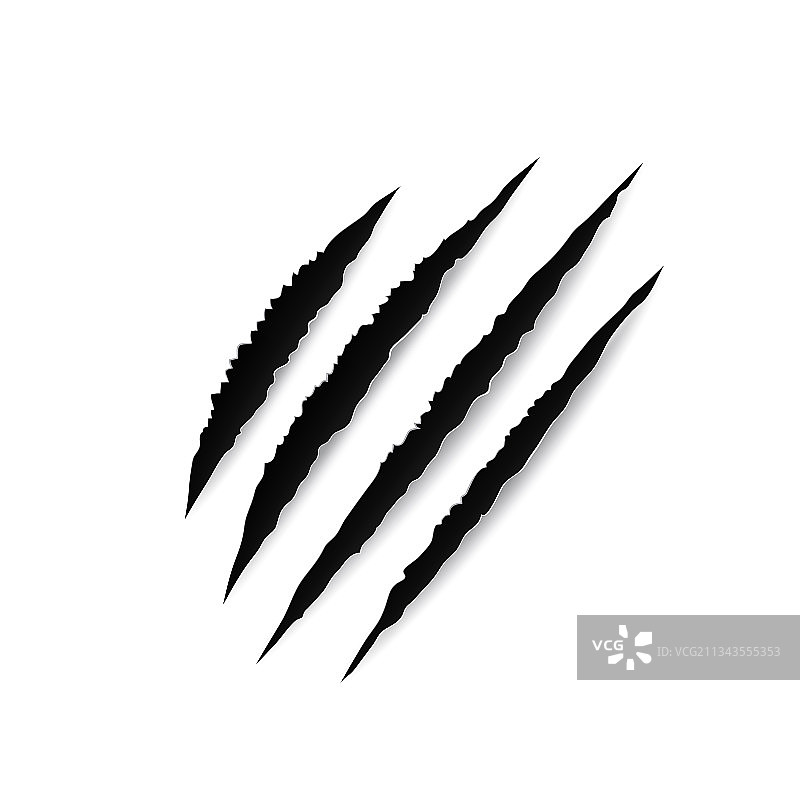 动物爪痕图片素材