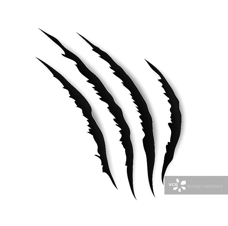 长爪痕迹动物爪子撕裂的划痕图片素材