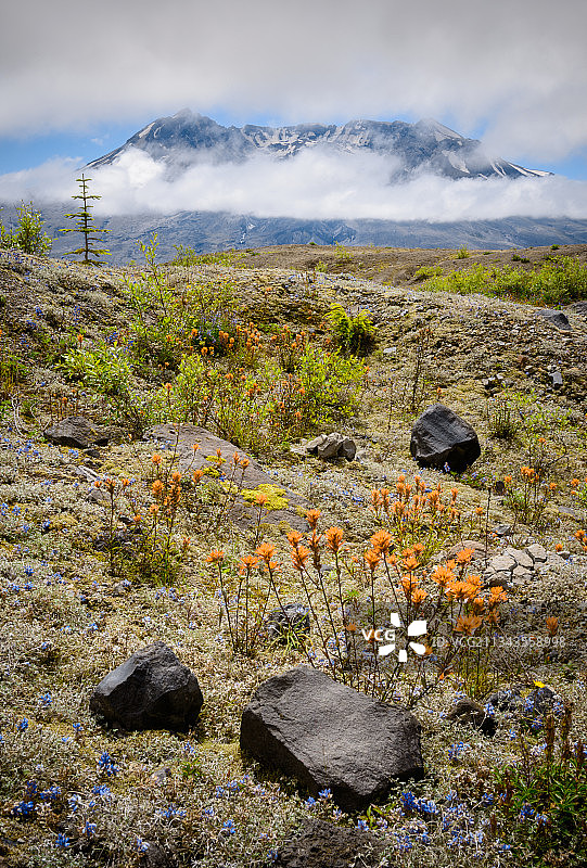 天空映衬下的风景图片素材