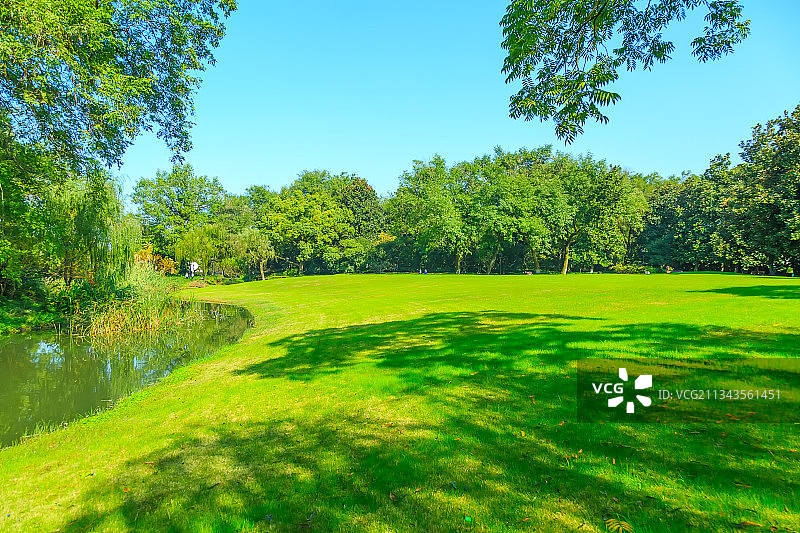 公园绿树林图片素材