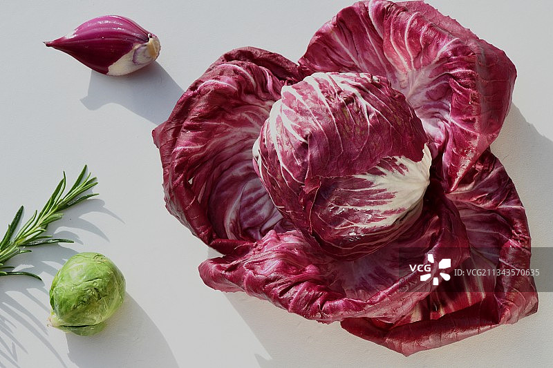 白色背景上的新鲜菊苣特写，法国图片素材