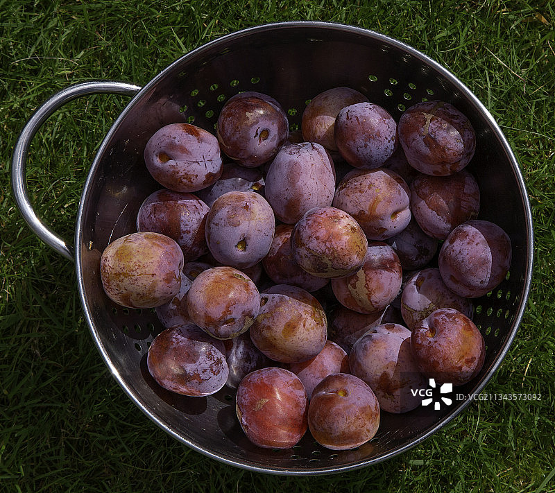 英国约克郡田野中碗装水果俯视图图片素材