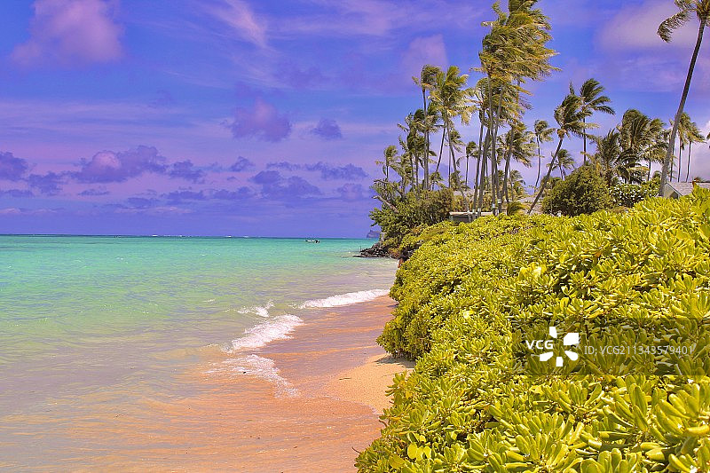 美国拉尼凯海滩海天一色美景图片素材