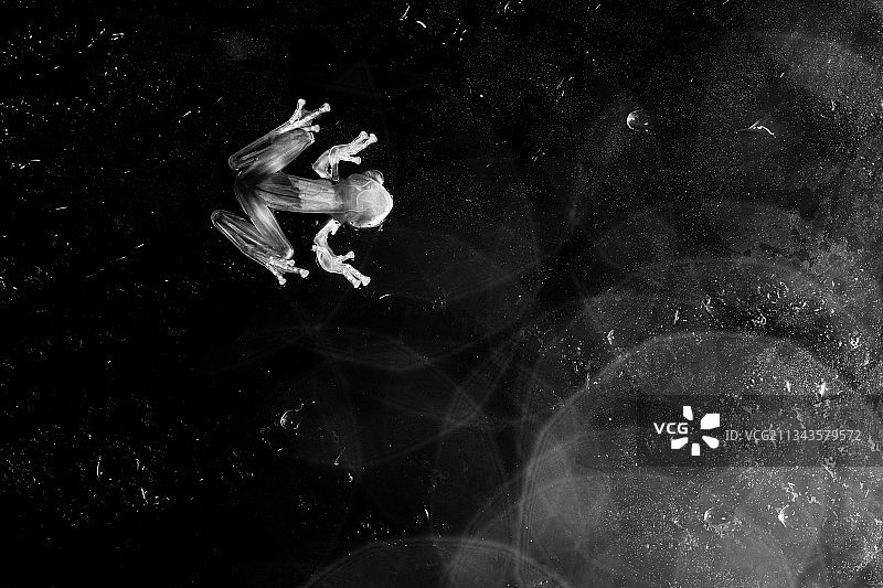 哥斯达黎加抽象背景全景照片图片素材