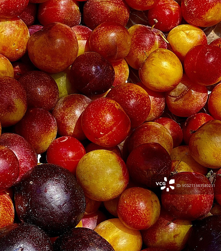 美国纽约阿马甘赛特水果全画幅照片图片素材