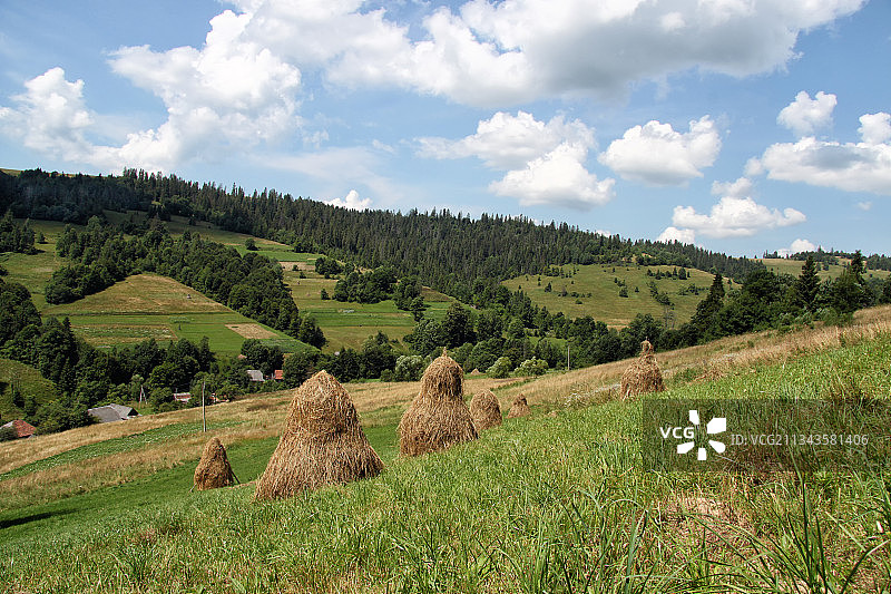 天空映衬下的农田风景图片素材