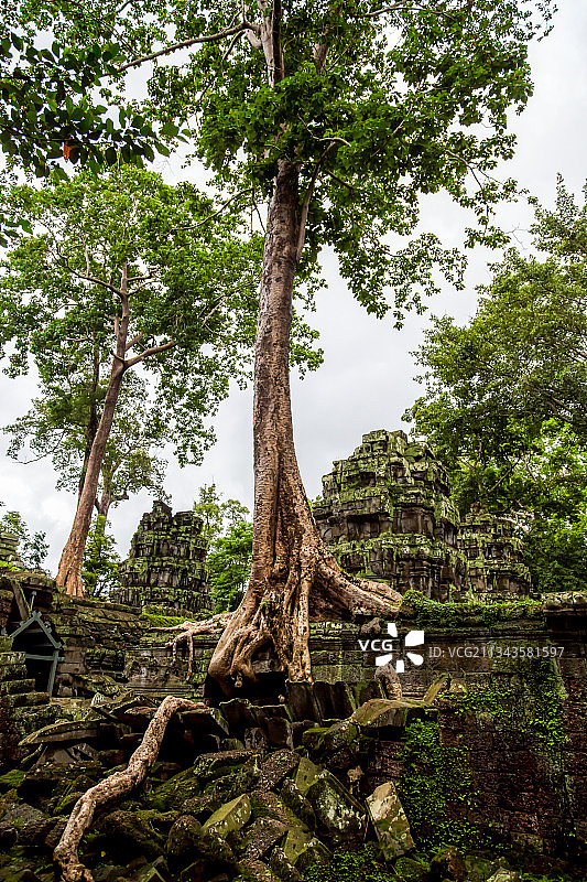 柬埔寨吴哥窟图片素材
