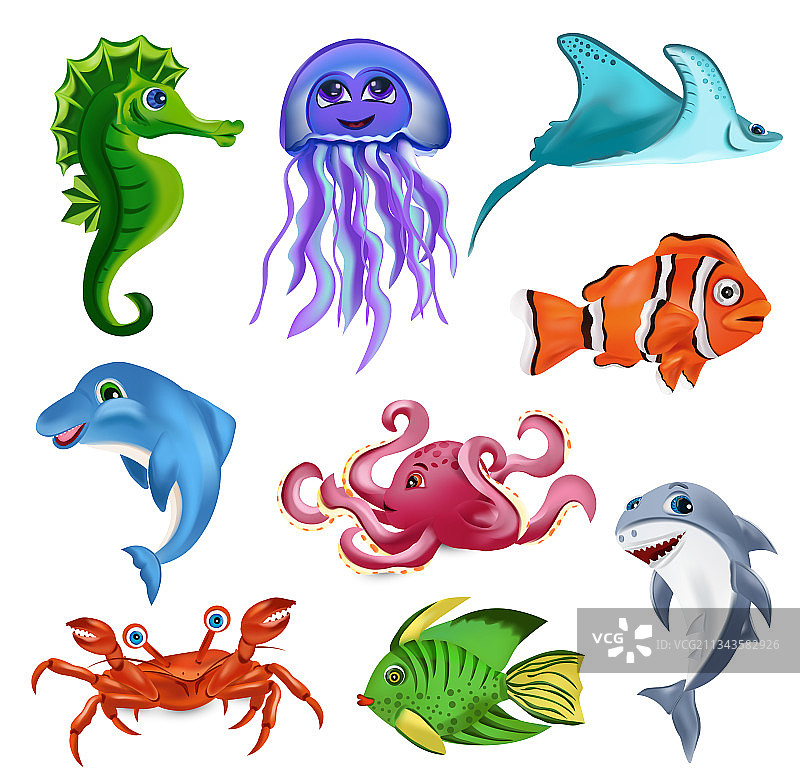 海豚、章鱼、鲨鱼等热带海洋生物图片素材