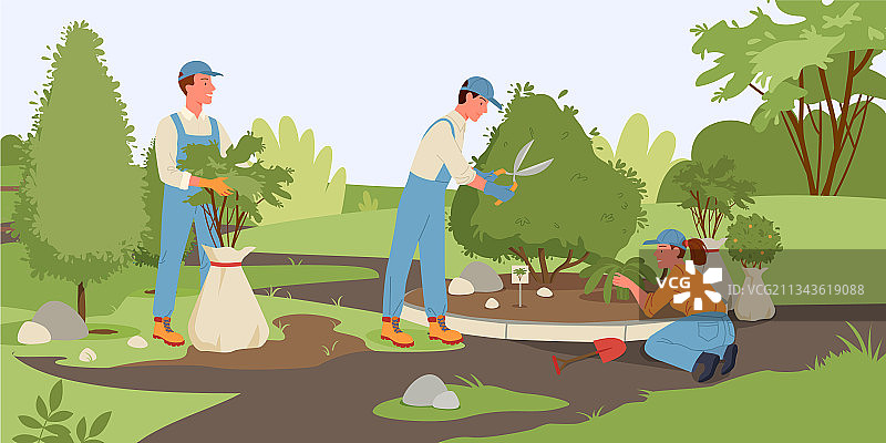 人们在夏季森林或公园里种植植物图片素材