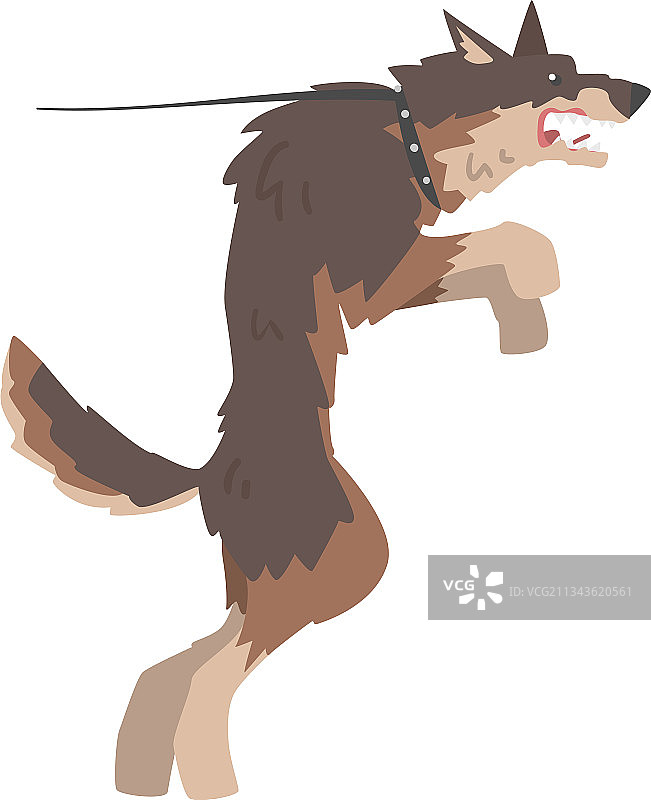 愤怒的恶犬吠叫并露出牙齿图片素材