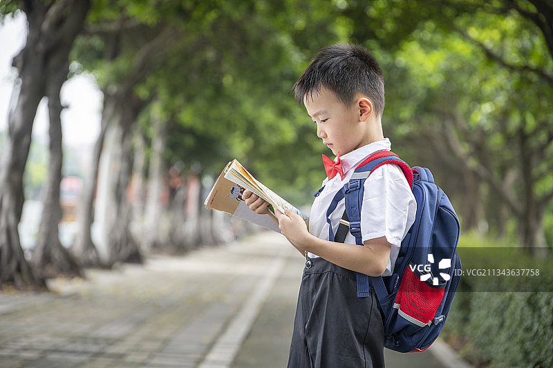 校园林荫路上拿着书的小学生图片素材