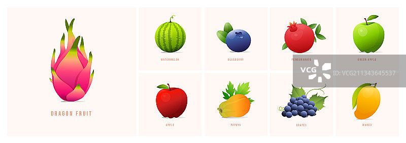 现代风格的水果组合图片素材