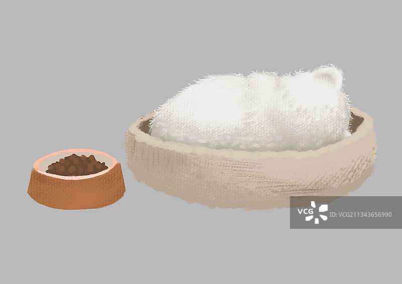 猫咪的世界图片素材