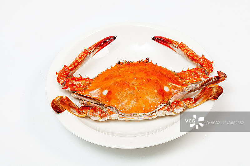 放在盘子里的熟的梭子蟹图片素材